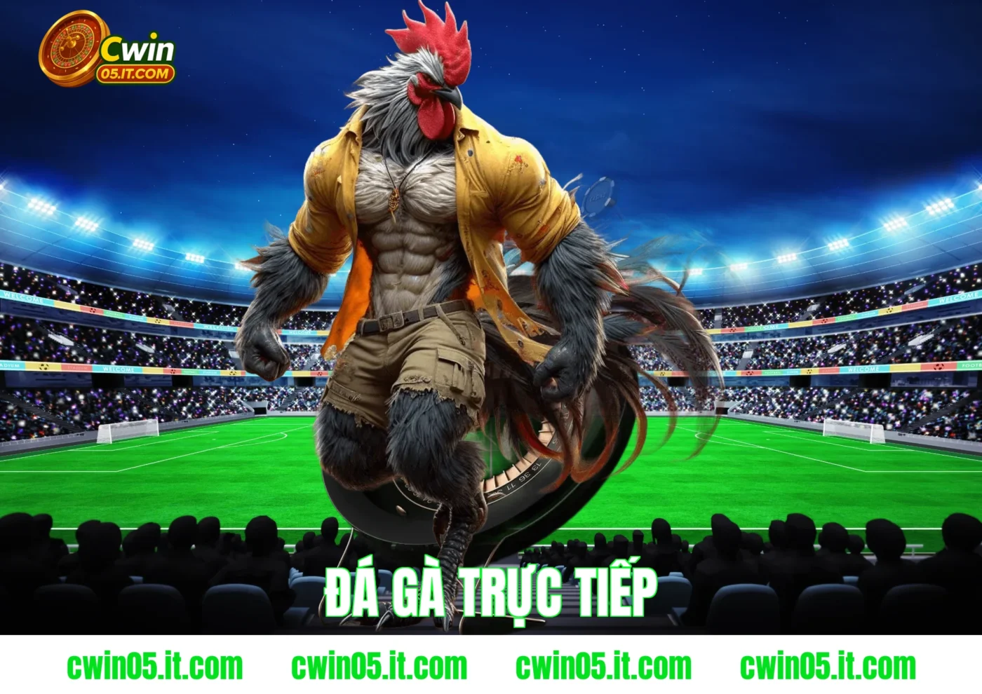 Đá gà trực tiếp Cwin: Kinh nghiệm và địa chỉ uy tín tại Việt Nam