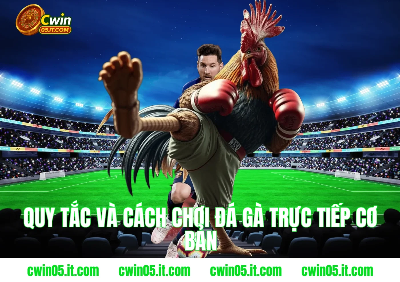 Quy tắc và cách chơi đá gà trực tiếp cơ bản